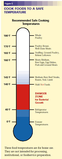 Cook Foods to a Safe Temparature: Recommended Safe Cooking Temperatures