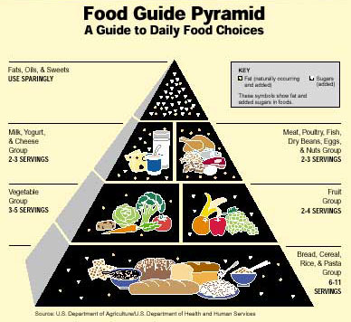 Food Guide Pyramid